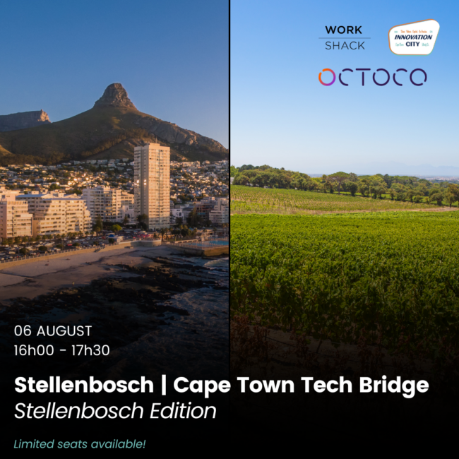 Stellenbosch Tech Bridge (4)